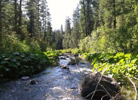 McCloud River